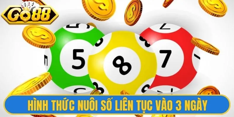 Kỹ Thuật Nuôi Lô Khung - Bí Quyết Tăng Lợi Nhuận Hiệu Quả 2 Hình thức nuôi số liên tục vào 3 ngày